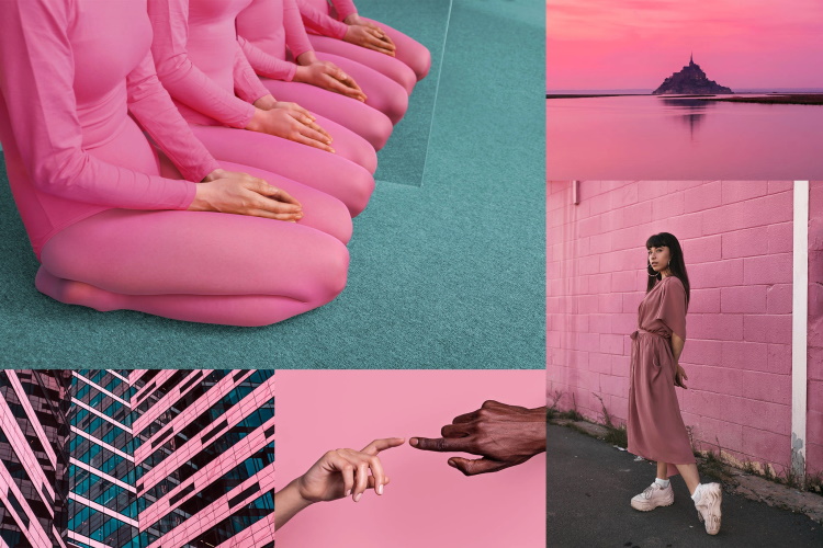 Br24 Blog Die Shutterstock Farbtrends 2022: Moodboard für die Farbe Pacific Pink