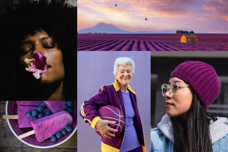 Br24 Blog Die Shutterstock Farbtrends 2022: Moodboard für die Farbe Velvet Violet
