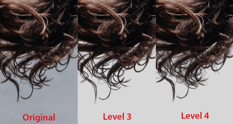 Br24 Blog Alles über Alphamaskierungen: Detailansicht von Haaren zum Vergleich verschiedener Alphamaskierungs-Level. Original, Level 3 und Level 4