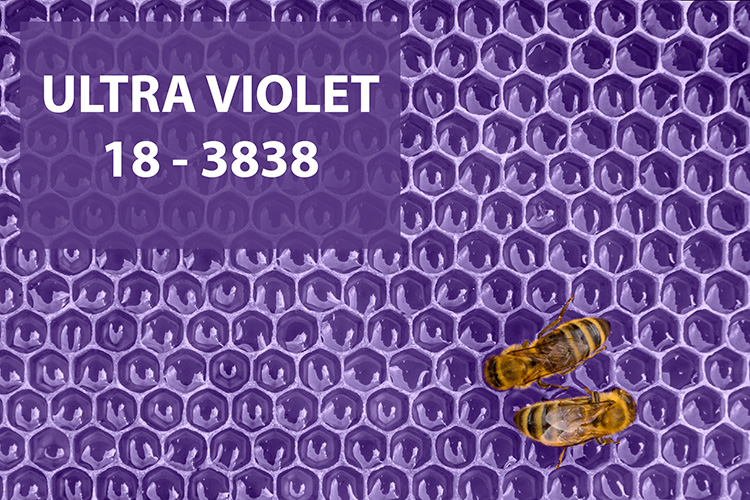 Br24: Die Pantone Farbe des Jahres ist Ultra Violet